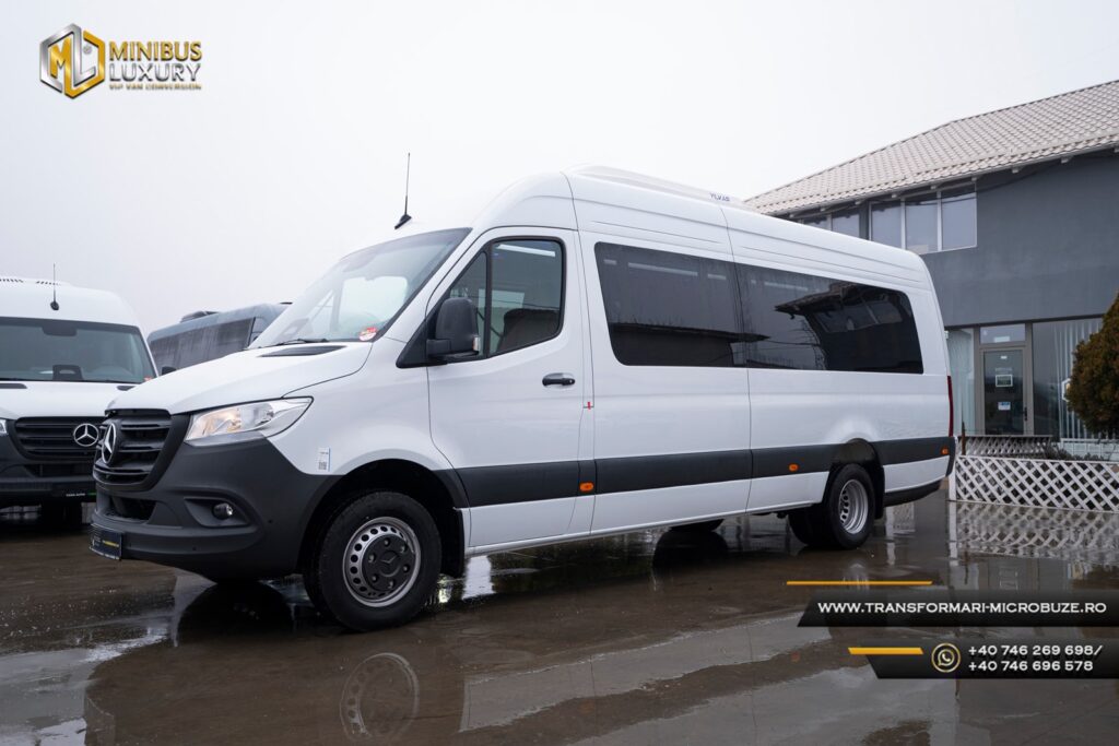 Carosari Microbuze Elegance Mercedes Sprinter 12+1+1 locuri