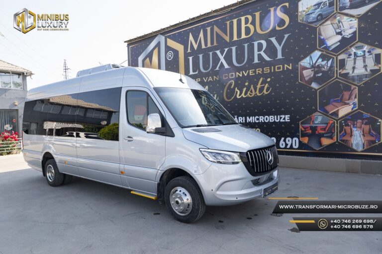 Transformari Microbuze Mercedes Sprinter 19+1+1 locuri Elegance