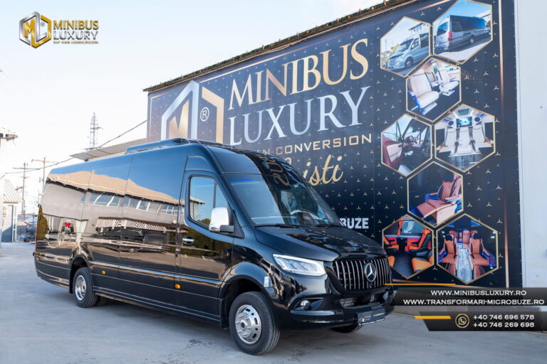 Carosari Microbuze 19+1+1 Mercedes Sprinter Minibus Luxury Arad_30